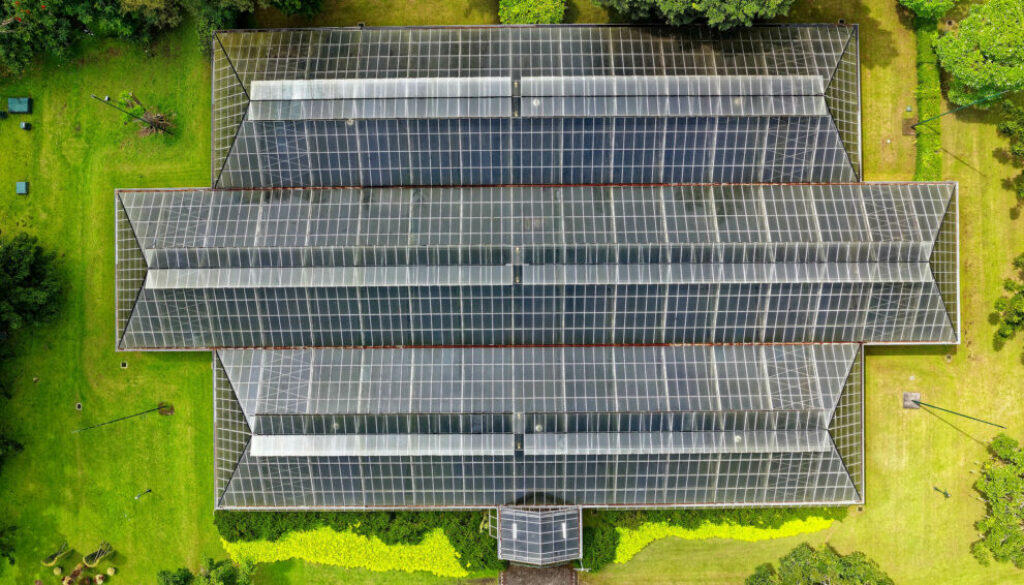 barncancerfonden och trine solar